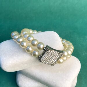 The Countess's Secret